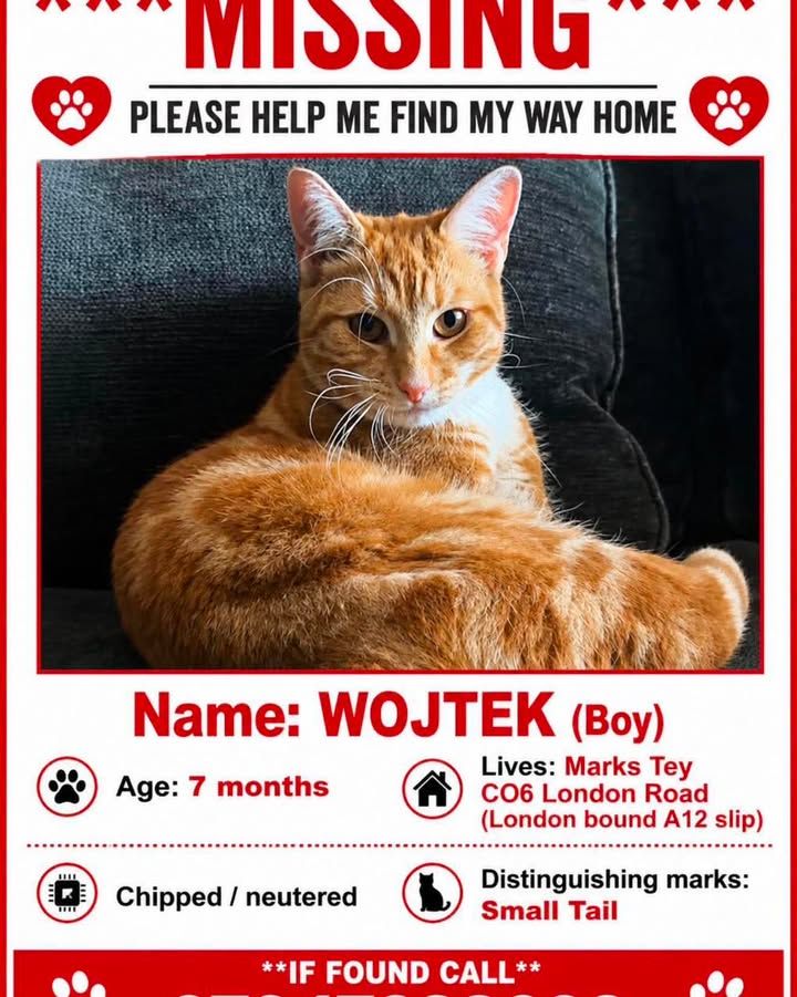 Missing from Marks…