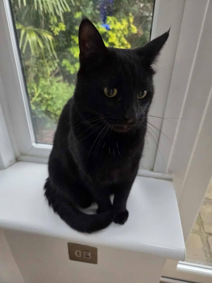 Lucky will be 3 yea…