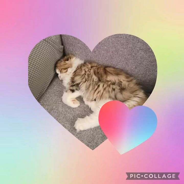 We’ve been a little…