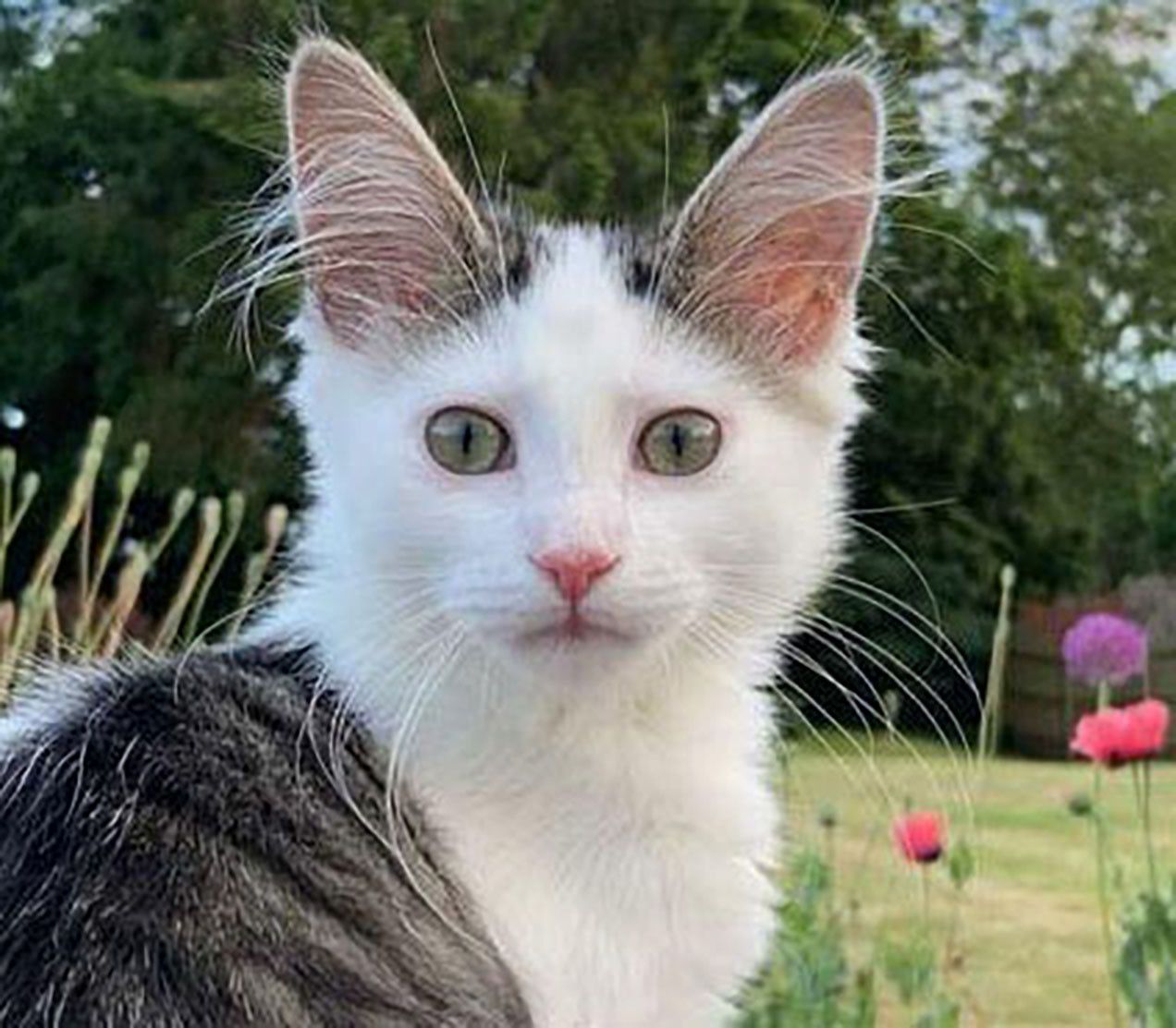 "Flossie" (Floss)