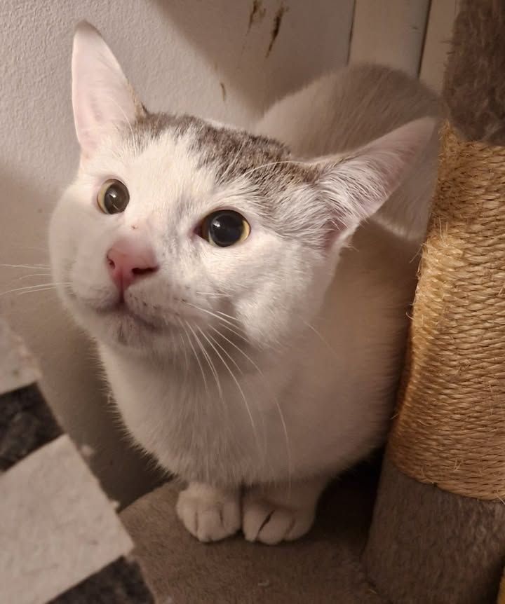 Little Eli was left…