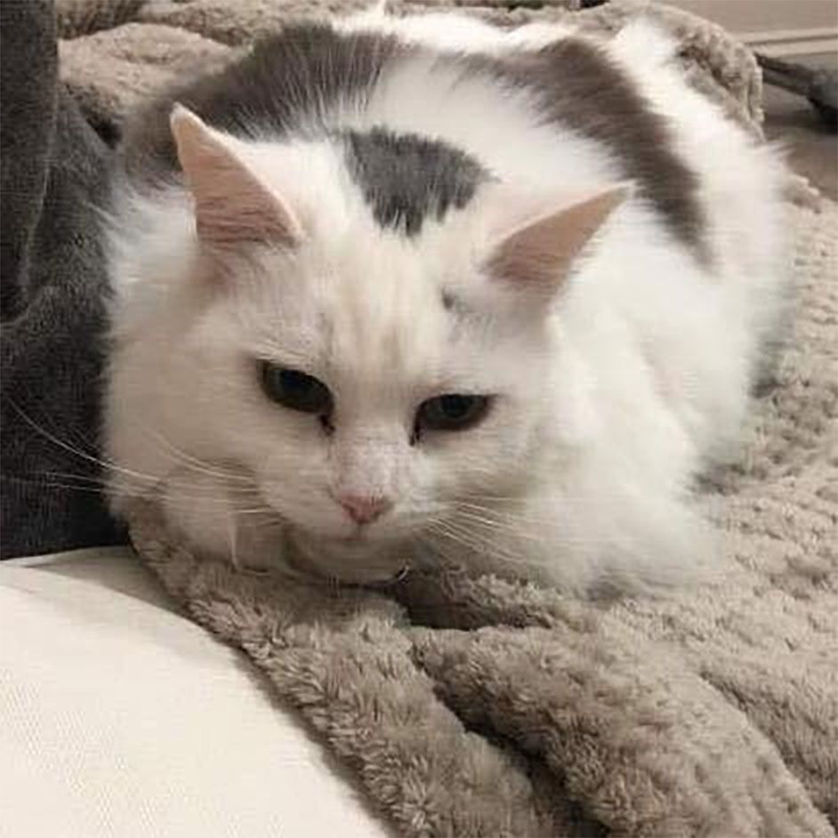 Lola