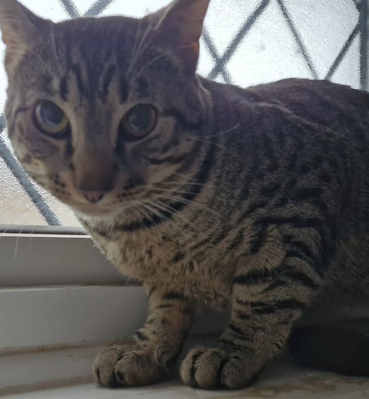 Anybody recognise t…