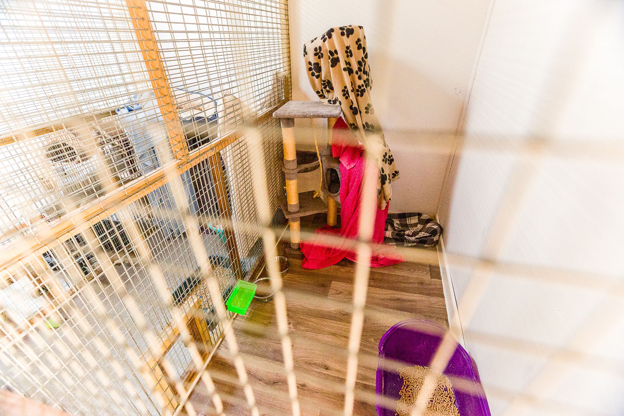 Cat Cabins