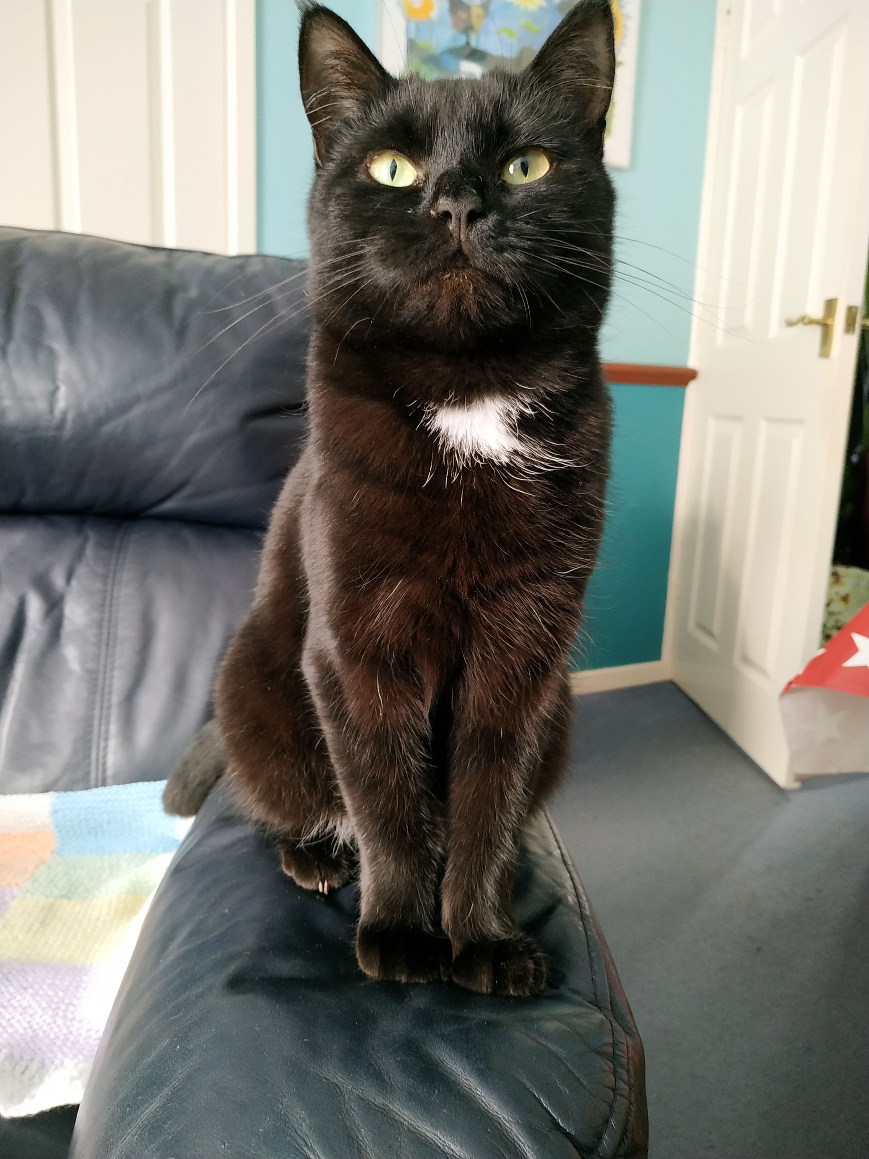 Cinder