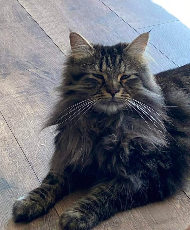 *Potential home fou…