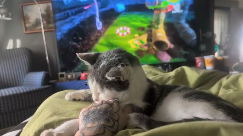 Moon is the cuddlie…
