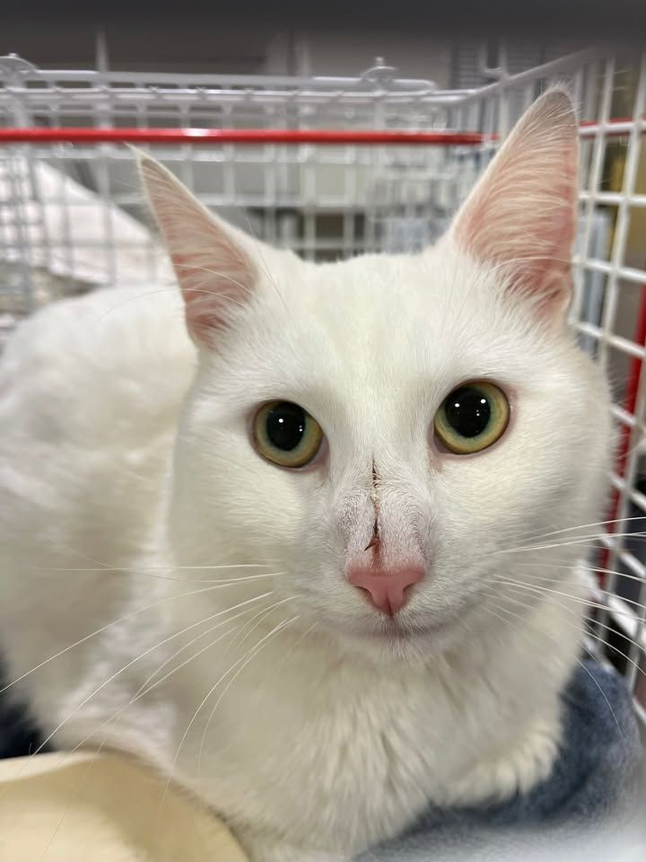 Does anybody recogn…