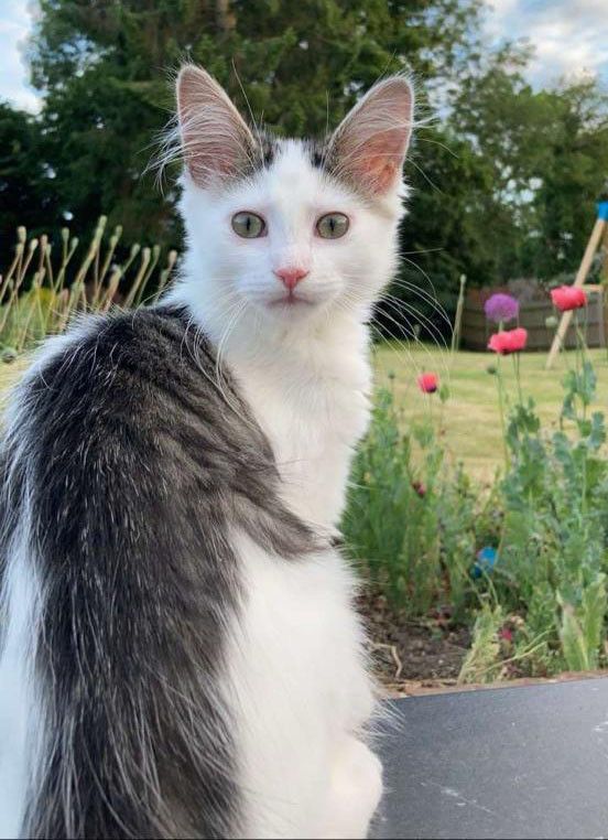 "Flossie" (Floss)