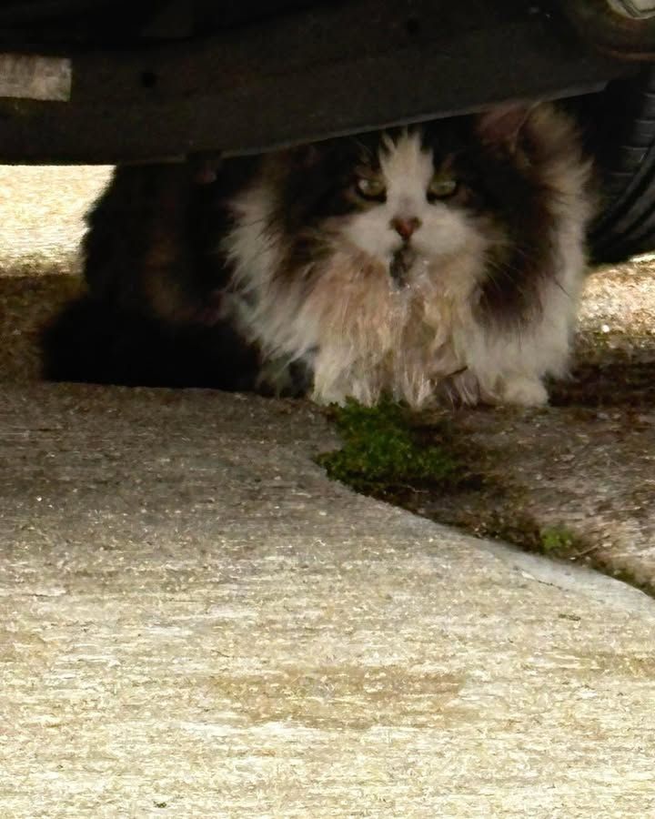 Does anyone recogni…