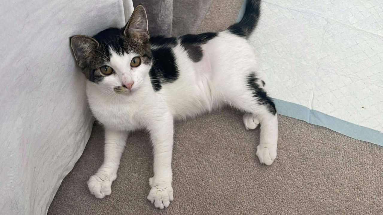 Mia is looking for…